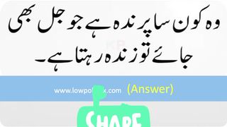 Aj ka sawal# short video # shorts