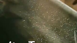 Mahira Khan  Romantic Dance