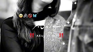 Sohail