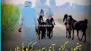 شاعری