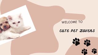 ????cute cat welcoming home his siblings ( TikTok)