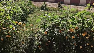 Flowering || gardening