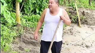 Viral shorts global lets laugh together shortsglobalviral