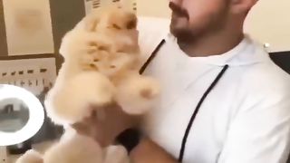 Trending Cute Cats????Funny Fail ops Moments Clips