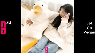 Funny moments ????????