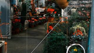 Realistic Lightroom photo editing tutorial #youtubeshorts #Lightroomshorts #photoeditingtutorial
