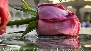 Islamic status|hazart muhammad