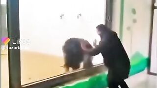 Funny video
