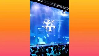 Amazing Videos Must Watch