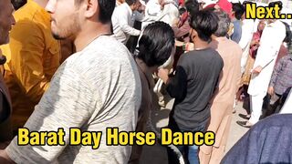 Weddings in Pakistan part 2 / Horse Dance