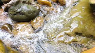 The Mysterious Power of Sound Waves in Water!