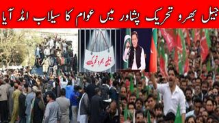 A massive crowd gathered at Peshawar during Jail Bharo Tehreek