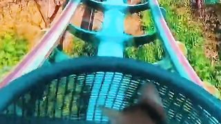 Funny cats