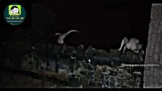 Very Dangers video  | please wait for you | kuch Dikha apko | Viral video |