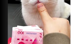 Funny & Wonderful Trick