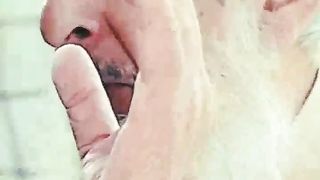 Signs of End times P1 - Creature of the earth