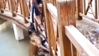 He took her head out magic trick! And rescue ???? Dog