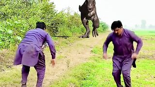 Magic vidoe
