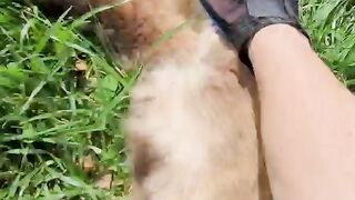 котик красивый