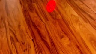 The Funny Moments -Cat is scared