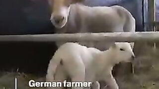 A miracle of GodInteresting.