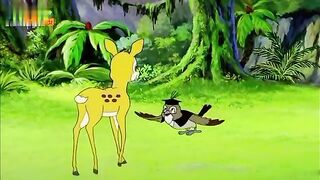 cartoon video 5 cartoon point