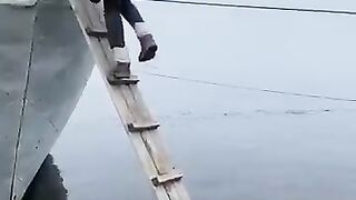 ایک کتا سیڑھی کے ذریعے کشتی میں سوار ہو رہا ہے۔