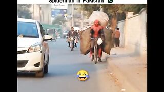 Best funny videos????????????????????????????