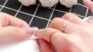Beautiful Rose Craft