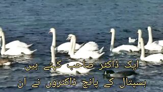 ہر پریشانی کا حل استغفار ہے ❤ لہذا جتنا ممکن ہوسکے استغفار کی کثرت کریں۔????