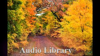 Free Fall — Vendredi - Free Background Music - Audio Library