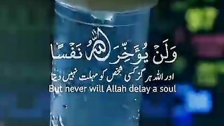 Quran ki tilawat