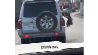 Funny video clips collections part 07