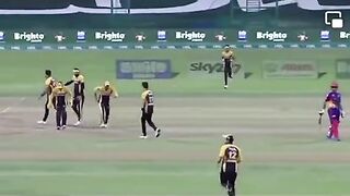 Peshawar zalmi song