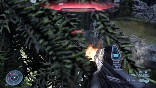 Halo Infinite Winter Update | CLEAR THE PATH 6 #343 #haloinfinite #halomcc #update #haloinfinitenews