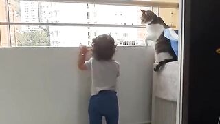 Cat save kid