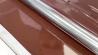 Chocolate Fox!