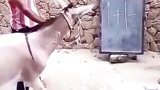 کون کہتا ہیکہ کھوتے کو عقل نہیں ہوتی۔۔۔۔؟