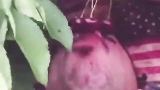 EY MAZZA KUNLAR KELAYAPTI SIZ SOG'INDIZMI