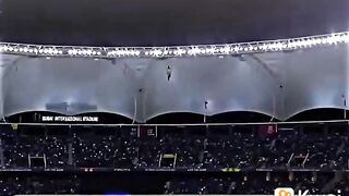 Cricket lover
