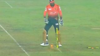 Cricket funny video