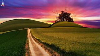 Anxiety and Stress Relief Meditational Music For Better Sleep and Relaxation