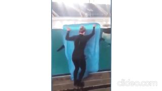 trying to trick a whale