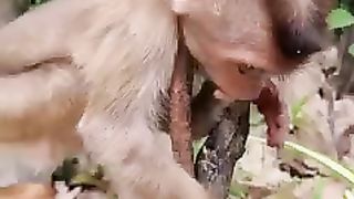 Awesome video ????