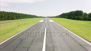 Fly Go Go !!!