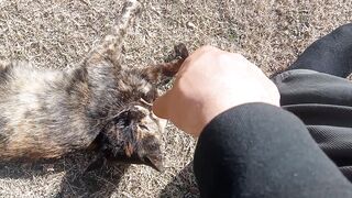 Playing with my beautiful cat