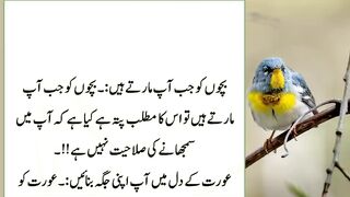 Asy totky k rishtydaron MN waa waa ho jay