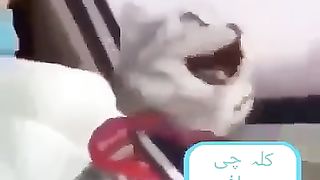 مسافر