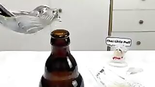 Happy_Lunar_New_Year_—_Check_out_how_Puff_hacks_his_way_through_the_kitchen!!!