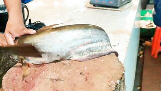 Fish Cutting